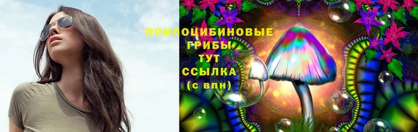 прущие крисы Абаза