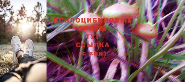 дживик Алексеевка