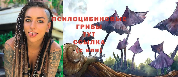 прущие крисы Абаза