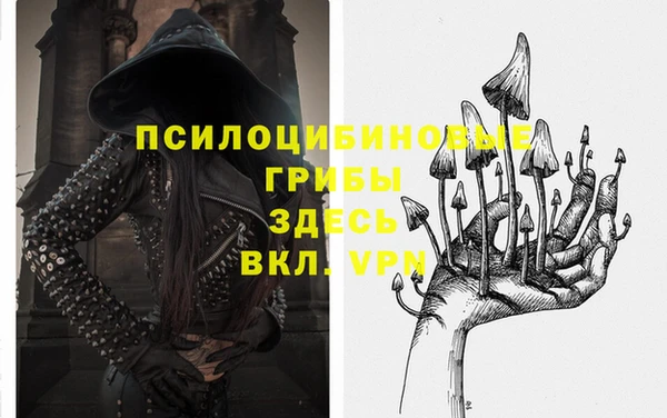 a pvp Абинск